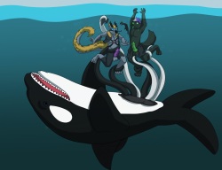 Orca Intake