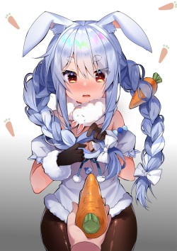 兎姫