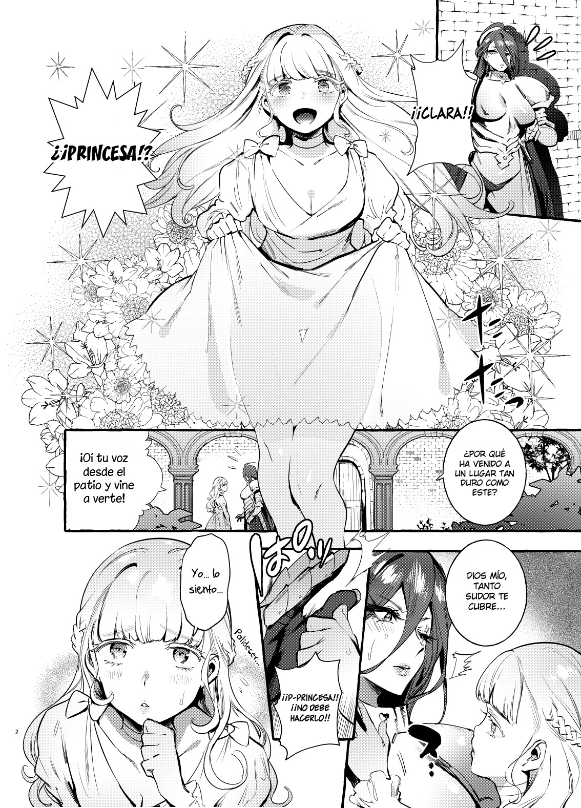 Ochinpo Onna Knight to Shojo Hime | La princesa y la mujer caballero del  pene - Page 4 - HentaiEra