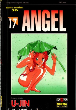 Angel 17